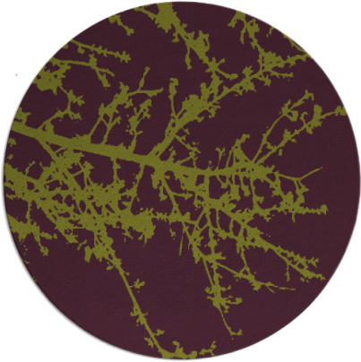 spruce rug - item 494189