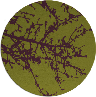 spruce rug - item 494190