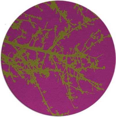 spruce rug - item 494191