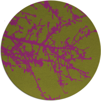 spruce rug - item 494192