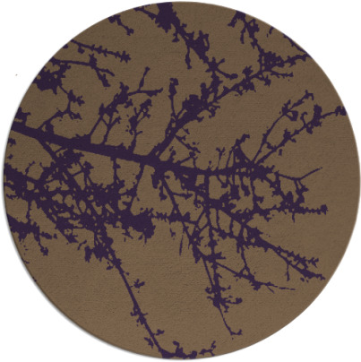 spruce rug - item 494194