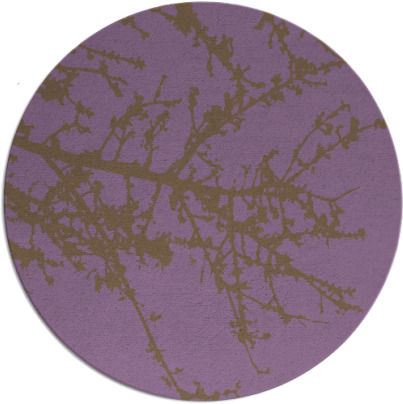 spruce rug - item 494195