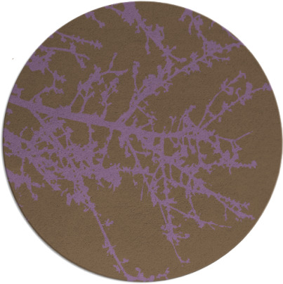 spruce rug - item 494196