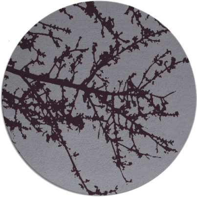 spruce rug - item 494198