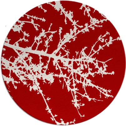 spruce rug - item 494201