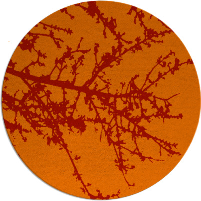 spruce rug - item 494206