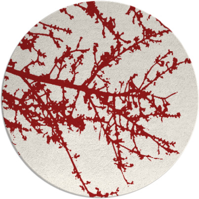 spruce rug - item 494210