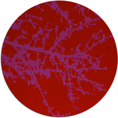 spruce rug - item 494213