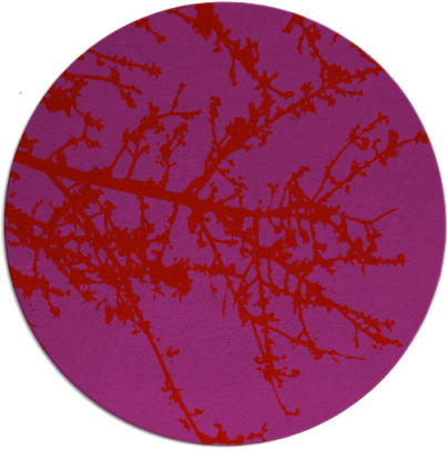 spruce rug - item 494214