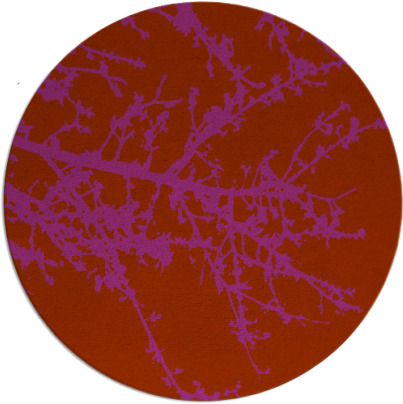 spruce rug - item 494215