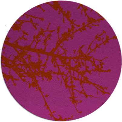 spruce rug - item 494216