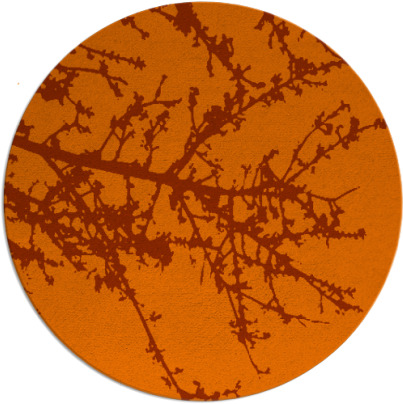 spruce rug - item 494218