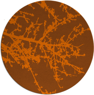 spruce rug - item 494219