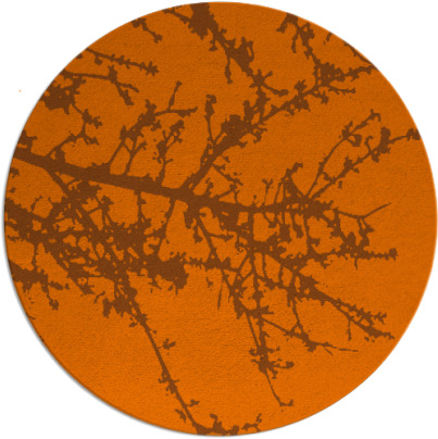 spruce rug - item 494220