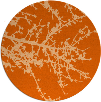 spruce rug - item 494221