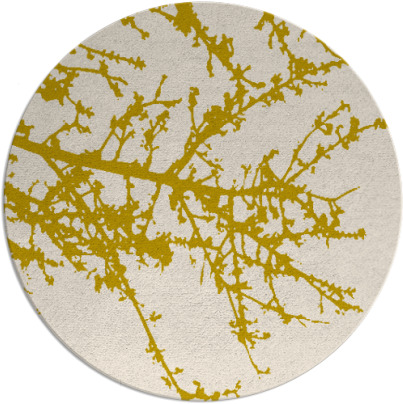 spruce rug - item 494225