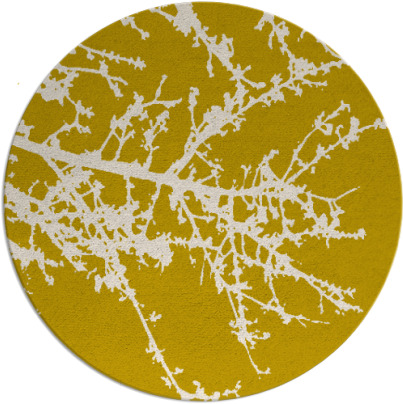 spruce rug - item 494226