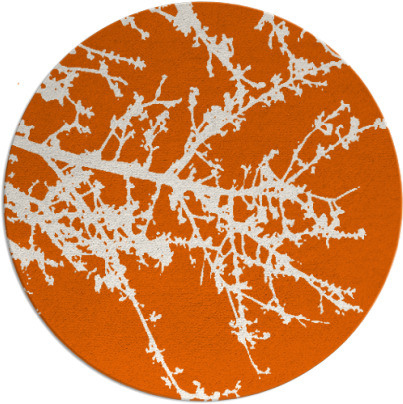 spruce rug - item 494230