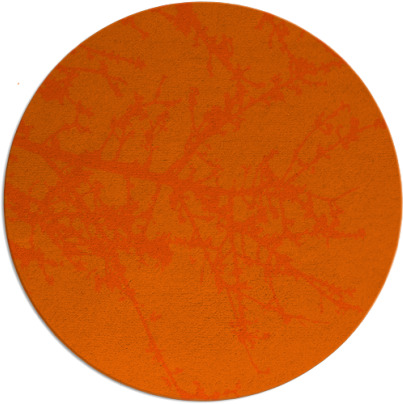 spruce rug - item 494232