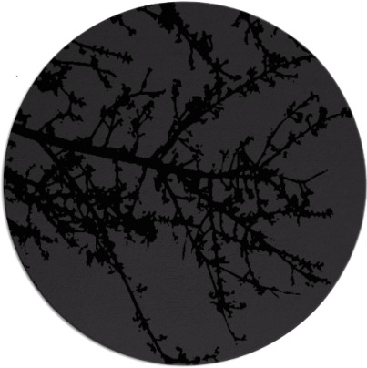 spruce rug - item 494235