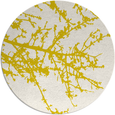 spruce rug - item 494237