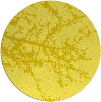 spruce rug - item 494239