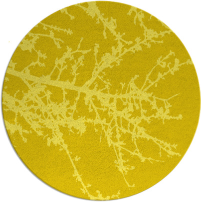 spruce rug - item 494240