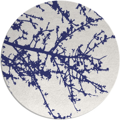 spruce rug - item 494241