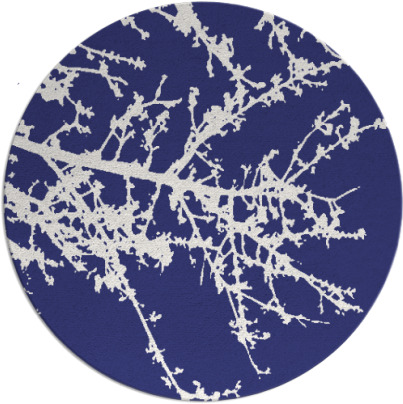 spruce rug - item 494242