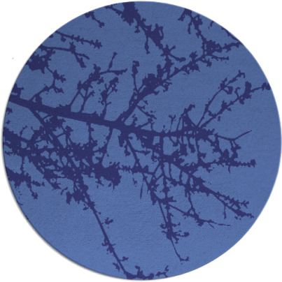 spruce rug - item 494243