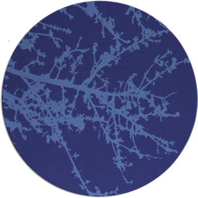 spruce rug - item 494244