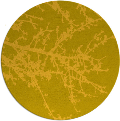 spruce rug - item 494251