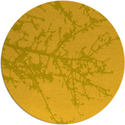 spruce rug - item 494252