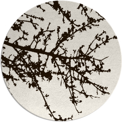 spruce rug - item 494257