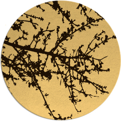 spruce rug - item 494259