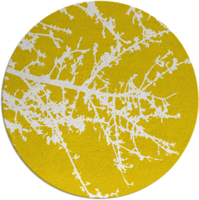 spruce rug - item 494261