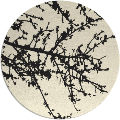spruce rug - item 494270