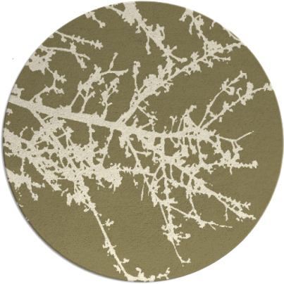 spruce rug - item 494271