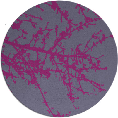 spruce rug - item 494274