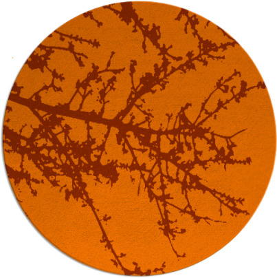 spruce rug - item 494280