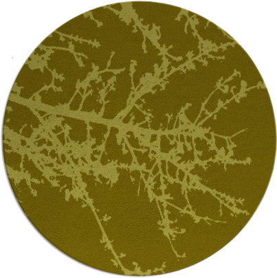 spruce rug - item 494281