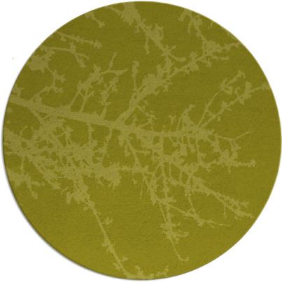 spruce rug - item 494283