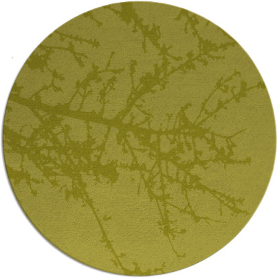 spruce rug - item 494284