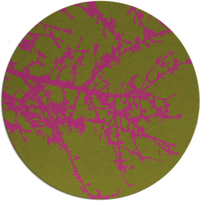 spruce rug - item 494289