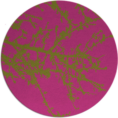 spruce rug - item 494290