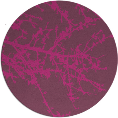 spruce rug - item 494291