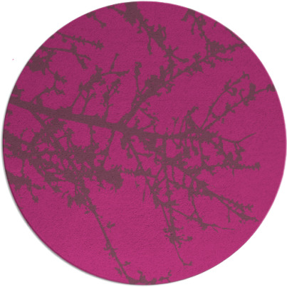 spruce rug - item 494292
