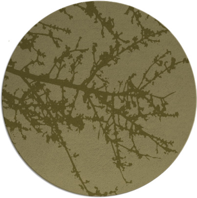 spruce rug - item 494294