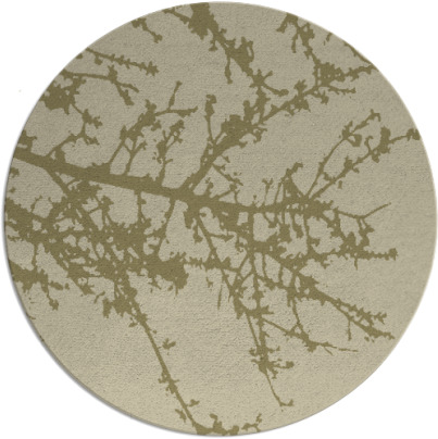 spruce rug - item 494295