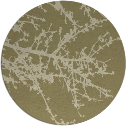 spruce rug - item 494296